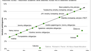 Pagrindinės turto klasės, jų pelningumas bei rizika