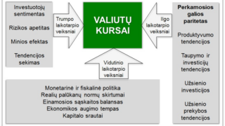 Kokie veiksniai įtakoja valiutų kursus?
