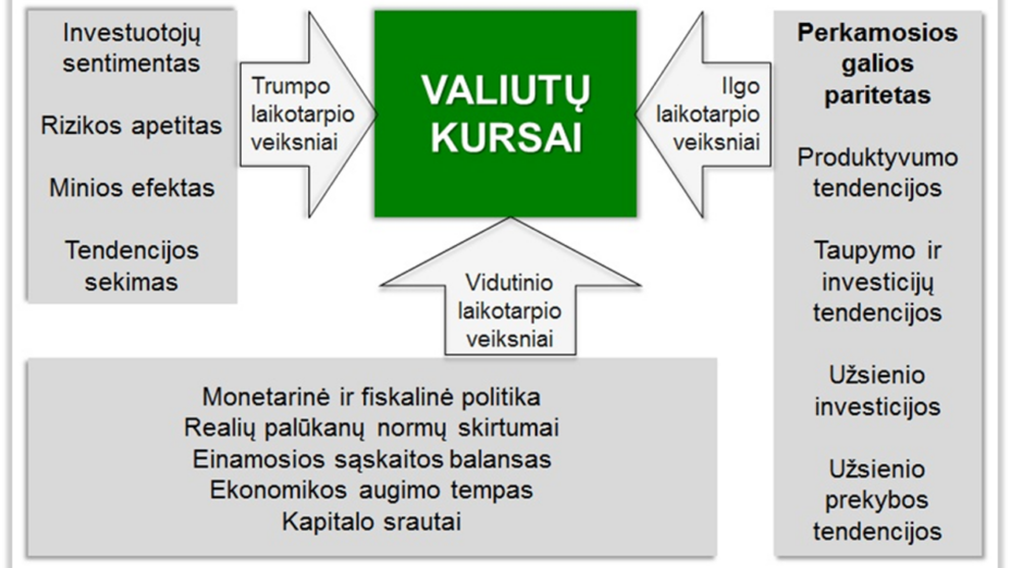 Kokie veiksniai įtakoja valiutų kursus?